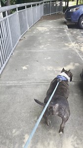 507K views · 933 reactions | I watch a lot of America's Funniest Home...