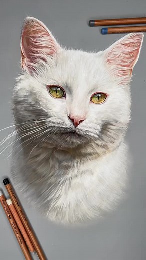 حسابات مقترحة