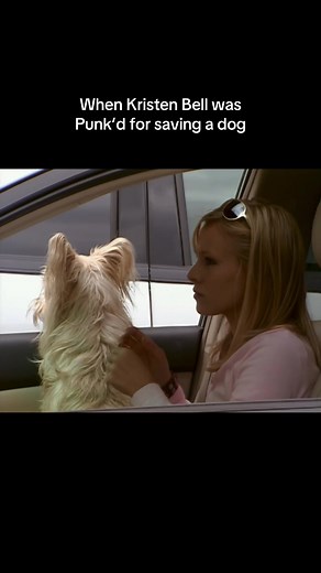 Kristen Bell is a literal dog-saving saint #Punkd #KristenBell #Dog Stream Punk'd on Paramount !