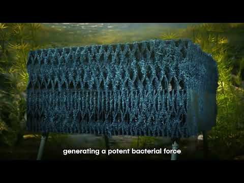 Clean Up Pond Algae with BioBoost Nest