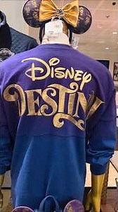 Disney Destiny Merch You Have To See!