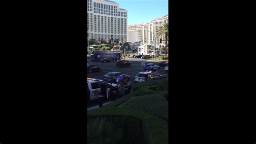 Phony Vegas showgirls allegedly attack tourists over $20 tip
