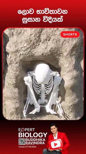 77K views · 331 reactions | Advanced A/L Biology Expert. Specialized teaching by Buddhika Ravindra focused on conceptual depth, critical application, and exam success. We move beyond rote learning to dissecting the intricacies of modern biological science. Classes in Kandy: Siselco, Sudarmaramaya. Also available Online Islandwide.  077 0628 652 |  YouTube: Buddhika Ravindra Biology #biology #AdvancedLevel #buddhikaravindra #buddhika #expert | Buddhika Ravindra - Biology | Facebook