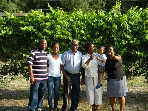 Sustainable Forestry and African American Land Retention Network (SFLR) - U.S. Endowment for Forestry & Communities, Inc.