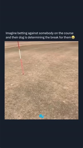 C2L on Instagram: "🎲 Gambling isn’t just luck; it’s strategy too. Many people walk into a casino or online game thinking they can win big overnight, but the real pros know that preparation matters more than luck. Start by understanding the game you want to play. Whether it’s poker, blackjack, or slots, knowing the rules, odds, and payout structure is your first step to making smarter bets. Knowledge gives you an edge, even when chance is involved. 💡 Set strict limits before you play. One of th