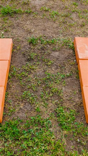 5-Minute Green on Instagram: "Make a mini concrete pond for your garden ⛲️ #diygarden #concretediy #backyardideas"