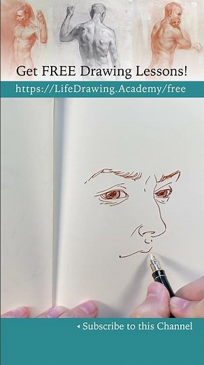 How to draw male portraits: https://lifedrawing.academy/free