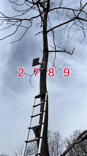 忘了他吧，我装监控养你#监控安装