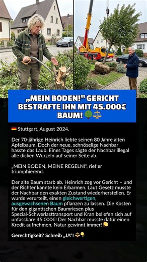 „MEIN BODEN!" GERICHT BESTRAFTE IHN MIT 45.000€ BAUM! 🌳⚖️