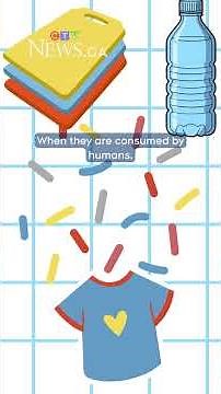 What to know about microplastics and your body