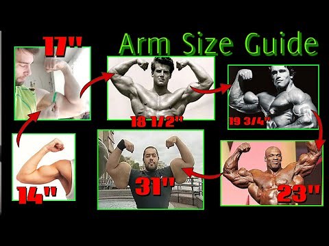 ULTIMATE GUIDE To ARM SIZE (How Big Can You Get Naturally? How Big are MY Arms? Biggest Arms Ever?)