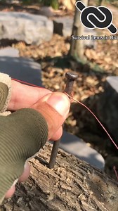 🎯Simple Knot, Endless Applications #knotshort | KNOT SHORT