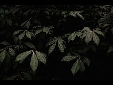 FREE R&B PIANO LOOPS (100% Royalty Free)