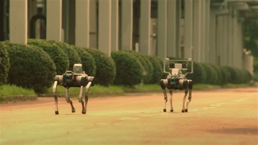 Singapore unleashes robot dogs to guide, guard, and serve public