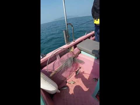 🎉🎣 Live Fishing: Chasing Big Catches Now! 2026-04-18