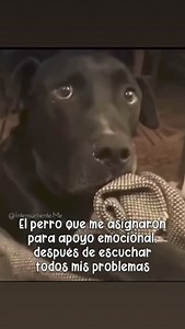 Manny Manuel Live on Reels