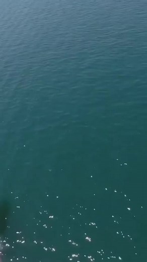 20K views · 85 reactions |  FOR SALE! 1996/2017 Skater 46 “Hellfire” powered by T53’s (1,400HP each). More info at rpelitemotors.com or call/text (817) 890-9989 #skaterpowerboats #skaternation #speedboat #powerboats #turbine #reels #forsale #rpelitemotors | RP Elite Motors & Marine | Facebook