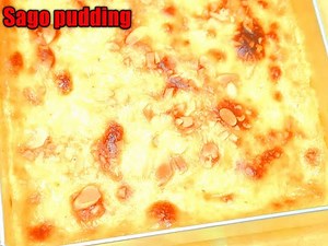 Sago pudding recipe