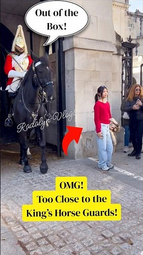 OMG! Too Close to the King’s Horse Guards at Horse Guards Parade | Unexpected Moment in London 🇬🇧