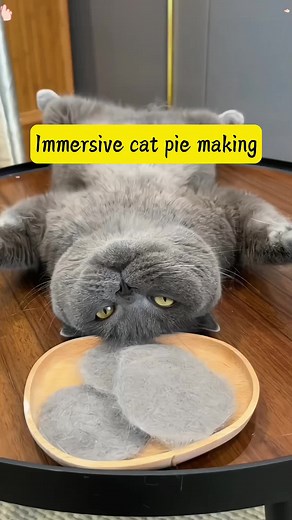 I finally found a comb that can comb the loose hair and clean the hair at the same time, so I don't have to worry about the furry child licking it close to the stomach.#TikTokShopCrossBorder #fyp #Pet #cat #dog #cute pet#Pet De-floating Comb