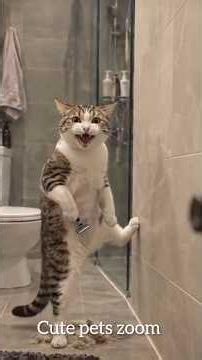 Cute Pet Videos 🐶🐱❤️ | Funny & Adorable Animals#funnyvideo
