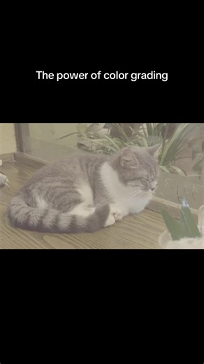 Mastering Color Grading in DaVinci Resolve