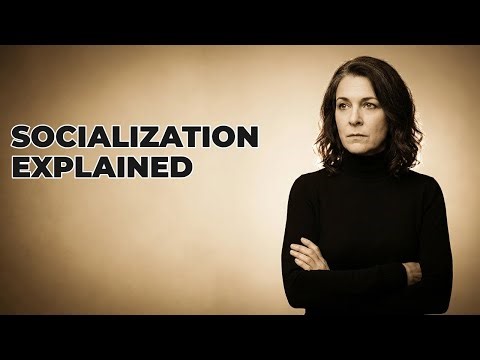 Explain The Foundational Principles Of Gender Socialization?