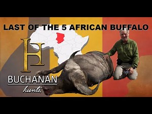 5 African Buffalo Species Complete! | Rare Trophy Safari in Chad with Buchanan Hunts
