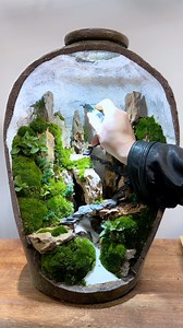 273K views · 548 reactions | This Chinese artist creates miniature ecological landscapes inside discarded vases and bottles using natural materials. By combining moss, plants, soil, and stones, he turns everyday containers into tiny living worlds that highlight sustainability and the hidden beauty of nature. Artist: 跃哥造景 / 50716549002 on Douyin #art #miniature #landscape #ecodesign #artist | Arts Terra | Facebook