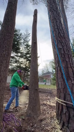  Tree Service project in  Marietta, GA . Call us for a free estimate ☎️(678) 457-3487 ☎️(678) 677-9102 . . . #trees #treeremoval #treework #arborist #tree #stihl #stumpgrinding #treecare #landscaping #treetrimming | Jireh Tree Services & Landscaping | Facebook