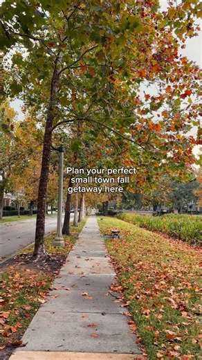 Rocktoberfest 2026: Your Fall Weekend in Celebration, Florida 🍂