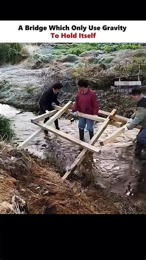 Do You The Name Of It 🤔 #physics #scienceexplained