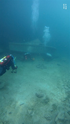 181K views · 2K reactions | We had insane visibility for the 2025 WSQ Underwater Pumpkin Carving Contest. More pictures and video to come! | White Star Quarry | Facebook