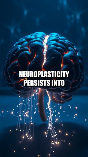 Quantum Quiet: Five Hidden Brain Realities