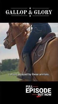 Gallop & Glory | Official Promo