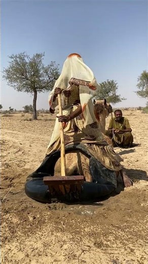 Desert women fly in a black bag to tame a camel, with the help of a lucky girl and your sister, w...