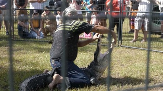 Florida Alligator Festival celebrates tradition of alligator wrestling and ‘Old Florida’ spirit