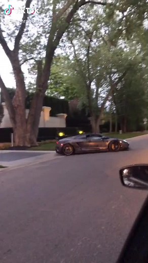 Pulled up on Drake 🤤 #toronto #sixbuzz #drake #lamborghini #fyp #mansion