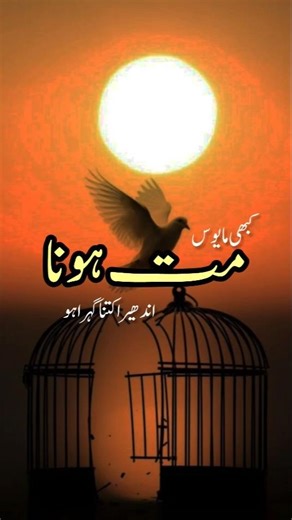 Kabhi Mayoos Mat Hona - Don't Be Sad - Junaid Ur Rehman - Peace Studio