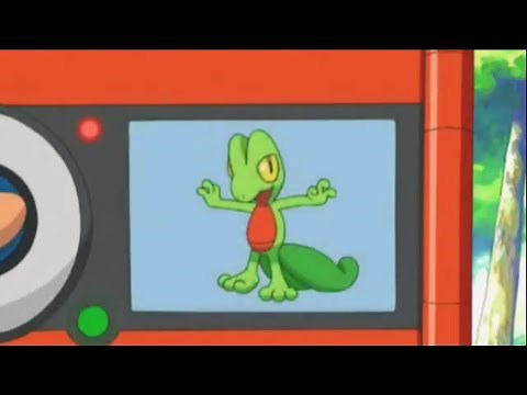 Treecko Pokedex Entry no.252