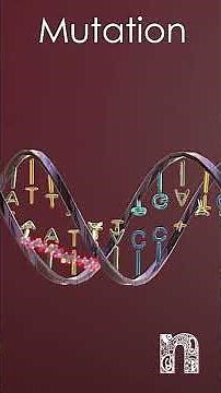 New Insights on E. coli & Colon Cancer! 🧬