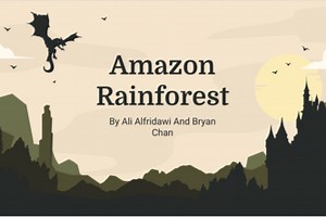 Amazon Rainforest Tracker