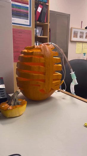 Medical Pumpkin Carving: Respiratory Therapy Ribcage & Ventilator Idea