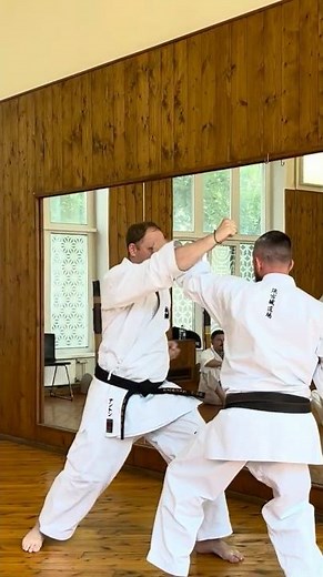 Kihon-Kumite ⚔️ (基本組手) Training | Traditional Okinawa Goju-ryu Karate Ikemiyagi Dojo #okinawakarate
