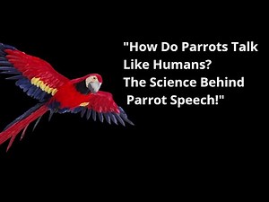 "How Do Parrots Talk Like Humans? The Science Behind Parrot Speech!"