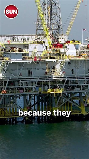 Putting export taxes on oil is a very bad idea says David Knight Legg