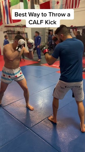 Mastering the Calf Kick in MMA: Techniques and Strategies