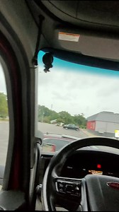 Ain’t Nothing Like a Good Home Cooked Meal #trucker #truckdriver | Slime Pack