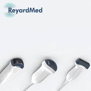 [Hot Item] Chison P6-E Ultrasound Probe Phased Array Transducer for Ebit 60/50/30/20