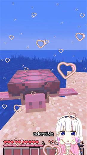 turtles are more useful than what you think ...